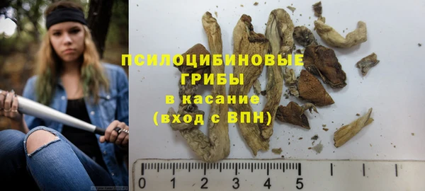 шишки Алексин