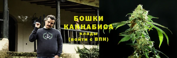 шишки Алексин
