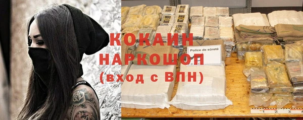 шишки Алексин