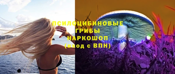 СК Алзамай